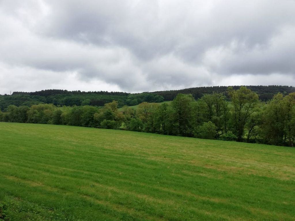 Draisinenevent in Altenglan 2018