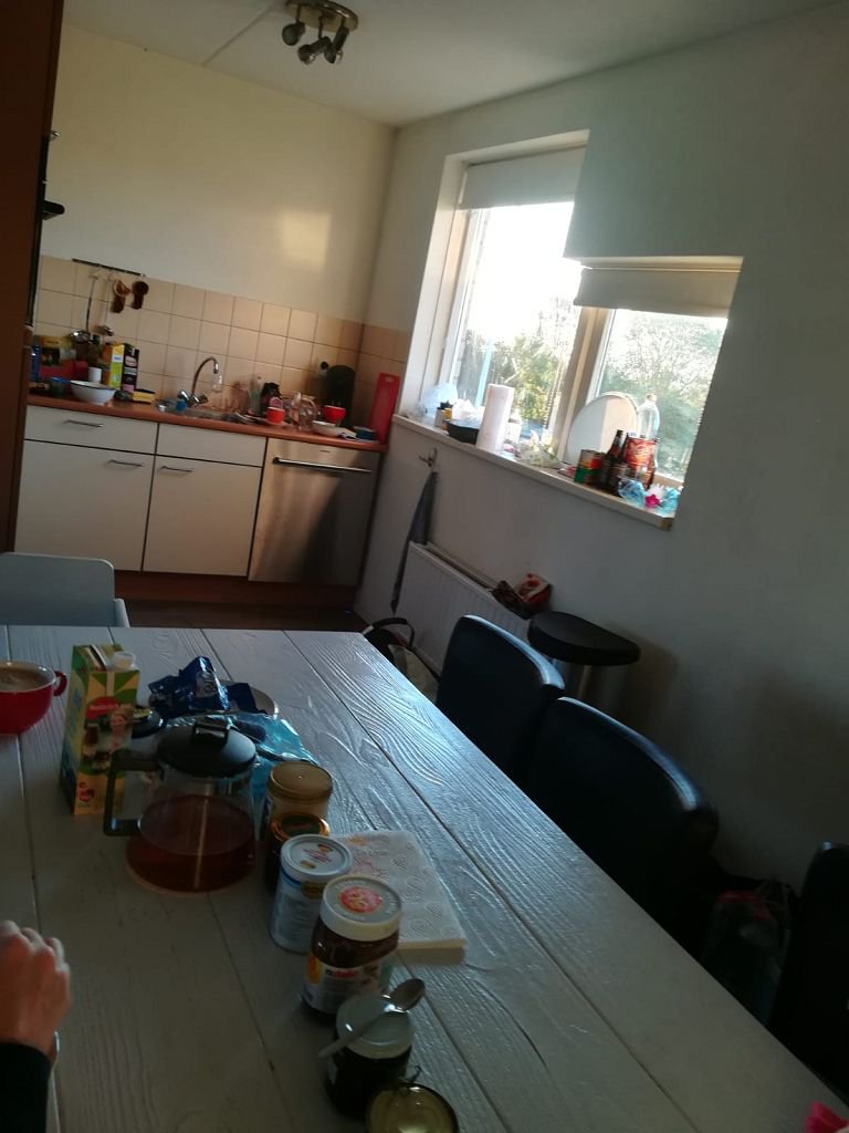 Grevelinger Meer 2018