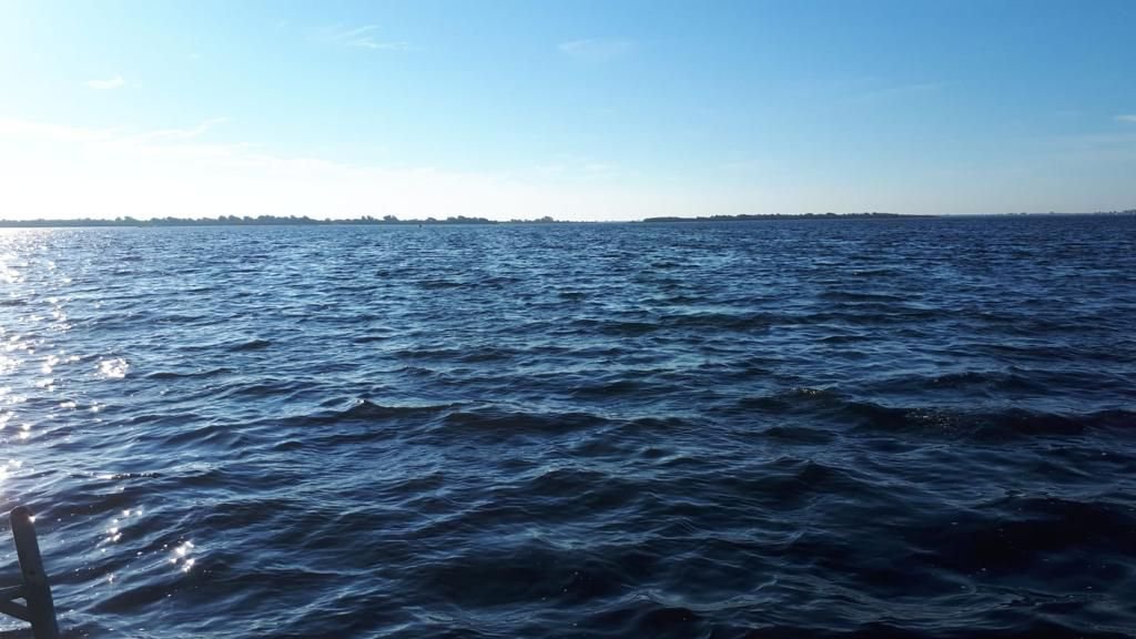 Grevelinger Meer 2018