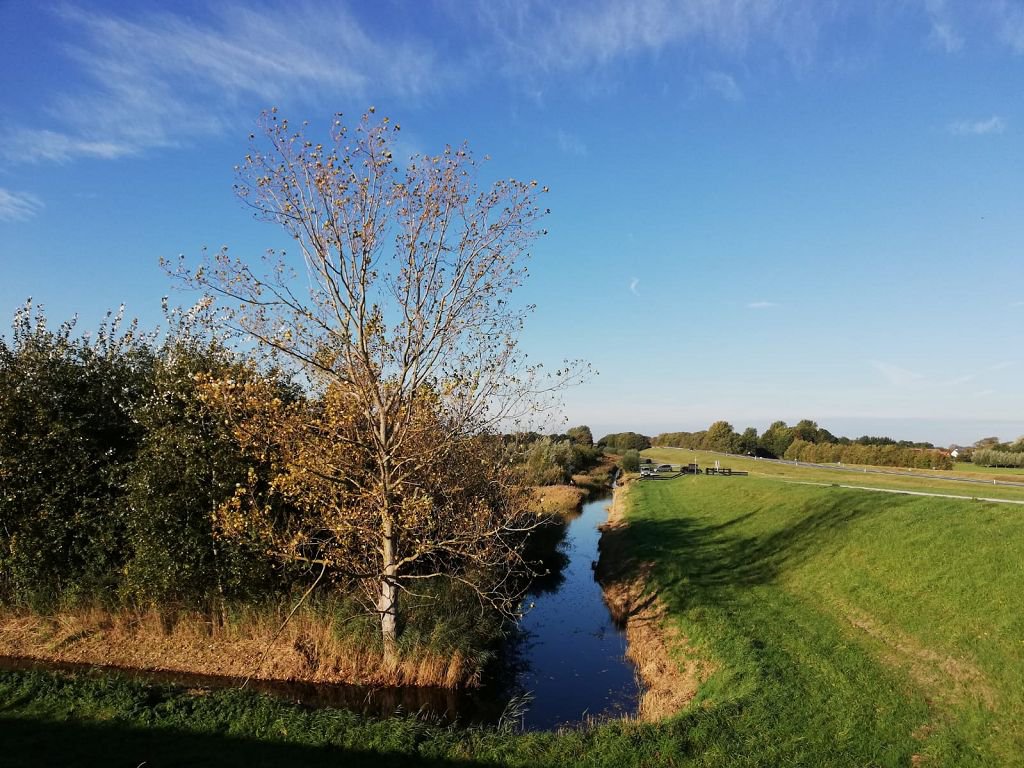Grevelinger Meer 2018