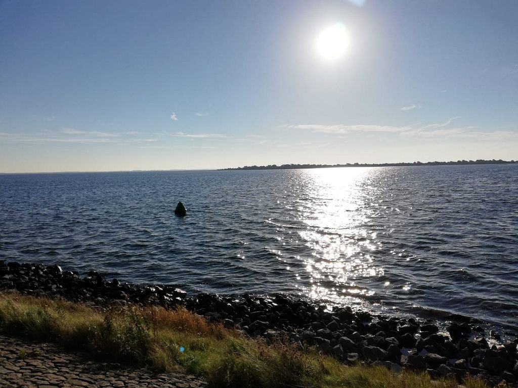 Grevelinger Meer 2018