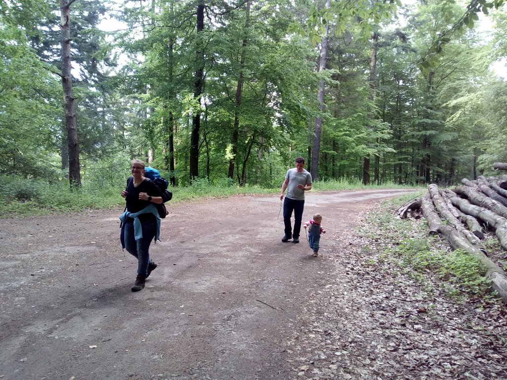 Wanderung zur Burg Berwartstein 2019