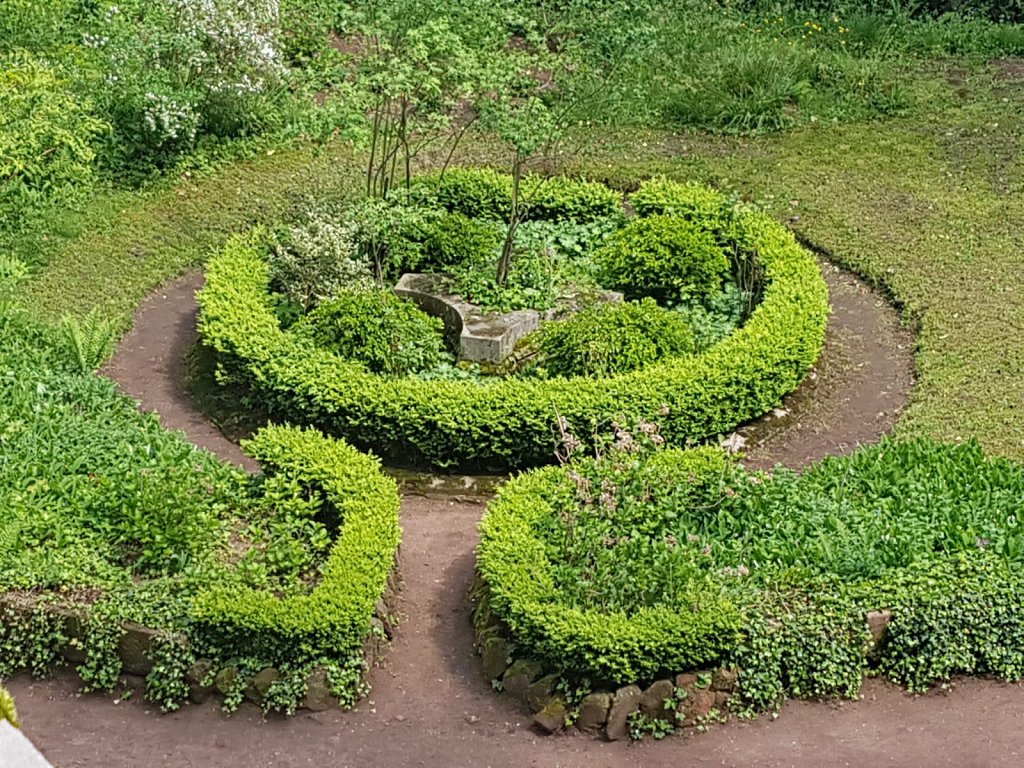 Wanderung zur Burg Berwartstein 2019
