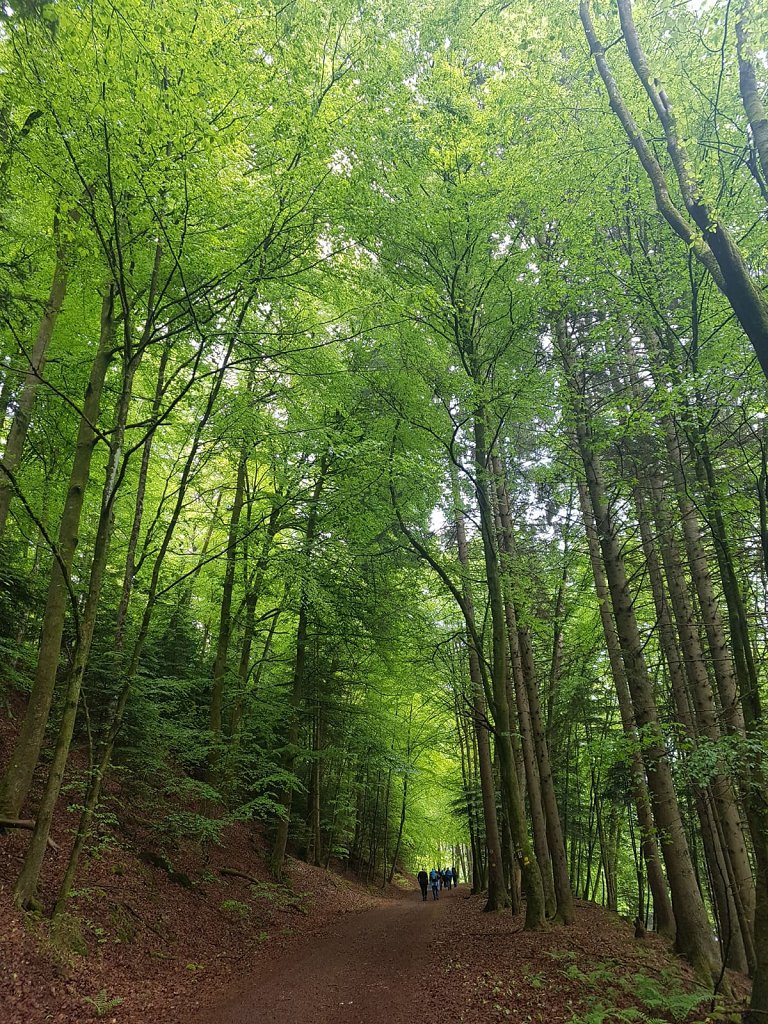 Wanderung zur Burg Berwartstein 2019