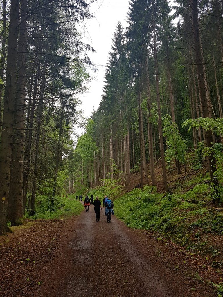 Wanderung zur Burg Berwartstein 2019