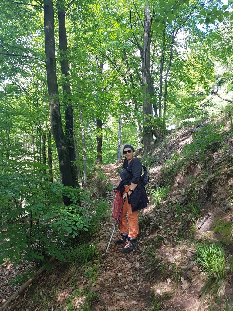 Wanderung zur Burg Berwartstein 2019